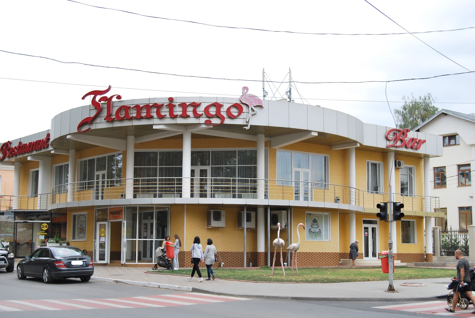 Flamingo · Cahul