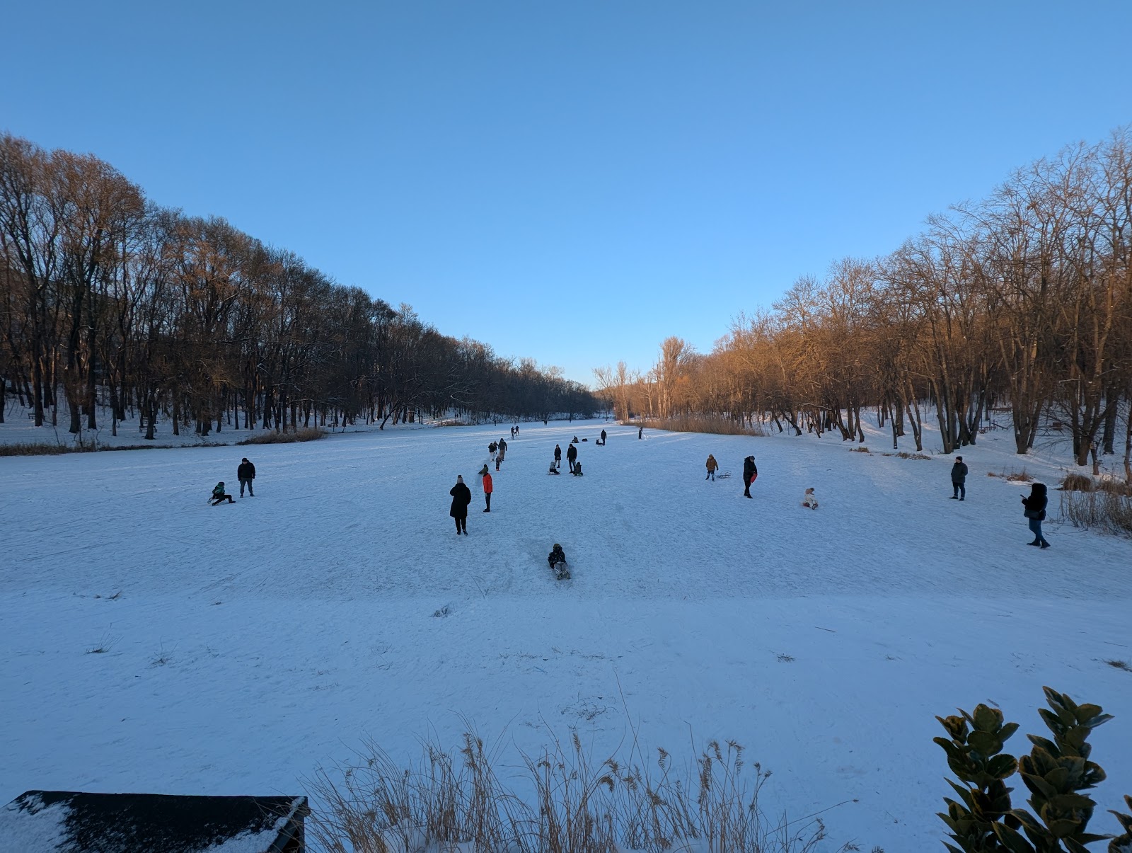 Pădurea-Parc Râșcani