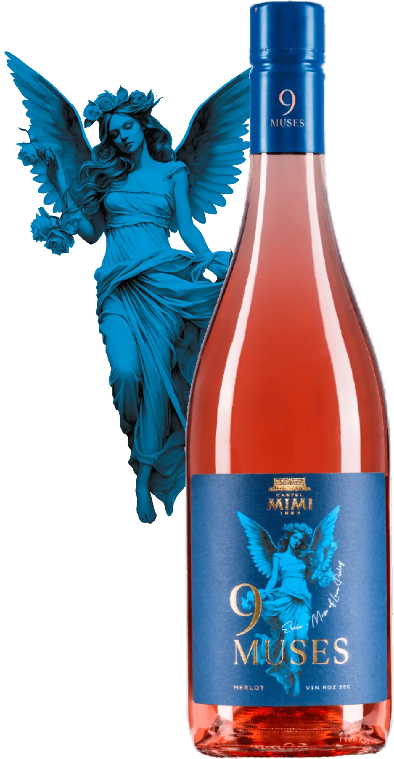 Merlot Rosé