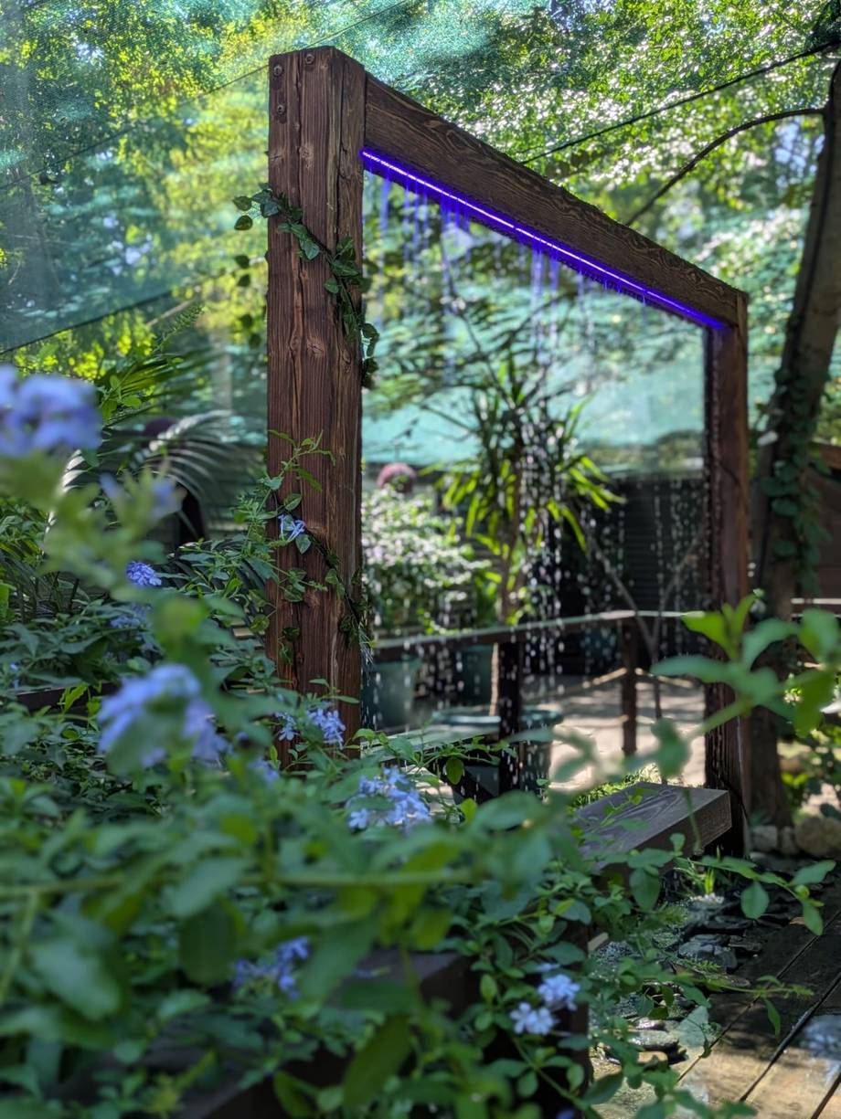 Befly Garden - photo by nutza