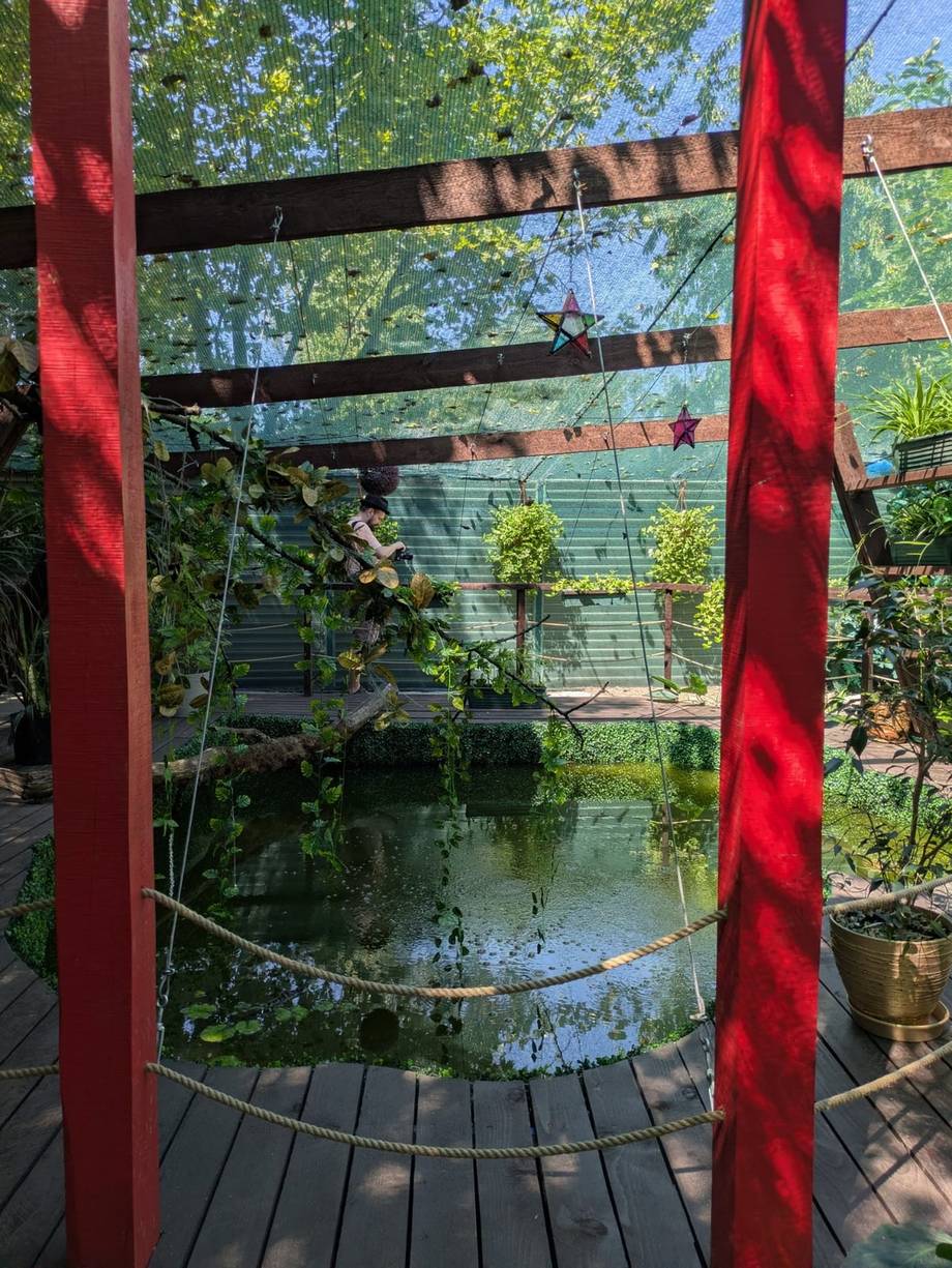 Befly Garden - photo by nutza