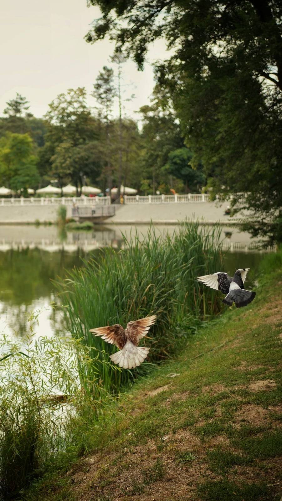 Parcul Rîșcani - foto de g0er