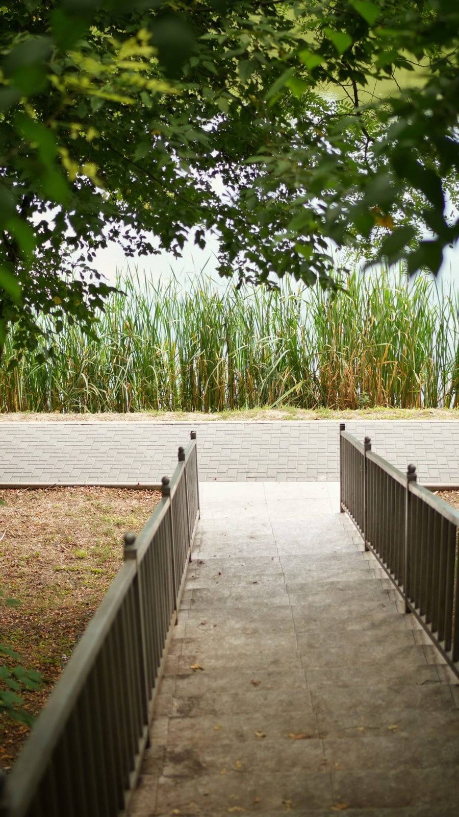 Parcul Rîșcani - foto de g0er