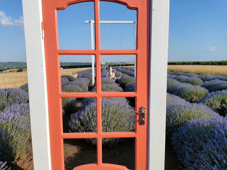 Red door framing lavender field landscape in summer bloom