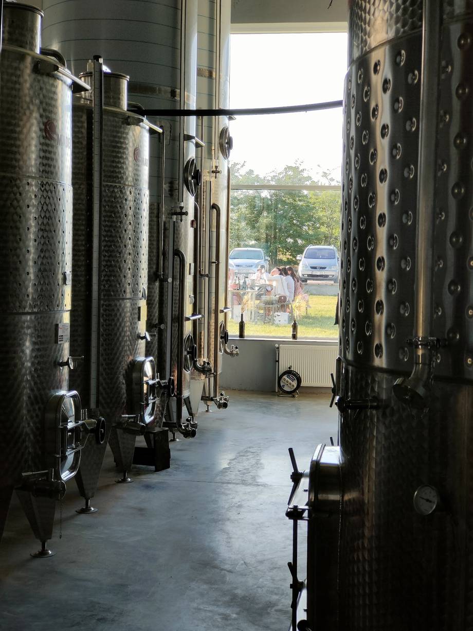 Wine production facility with steel fermentation tanks and countryside views through open doors