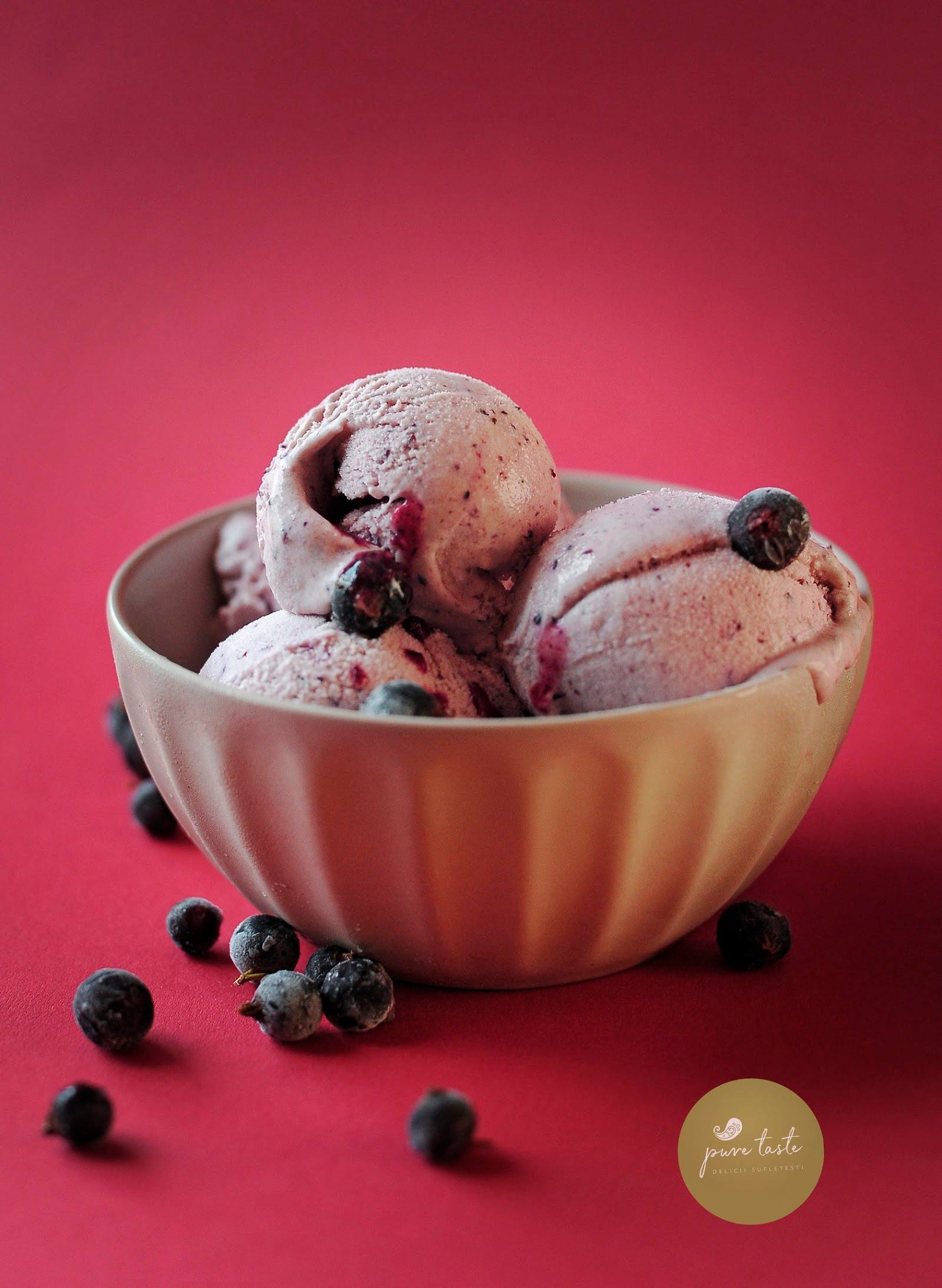 Berry ice cream served in a decorative white bowl with fresh blueberries