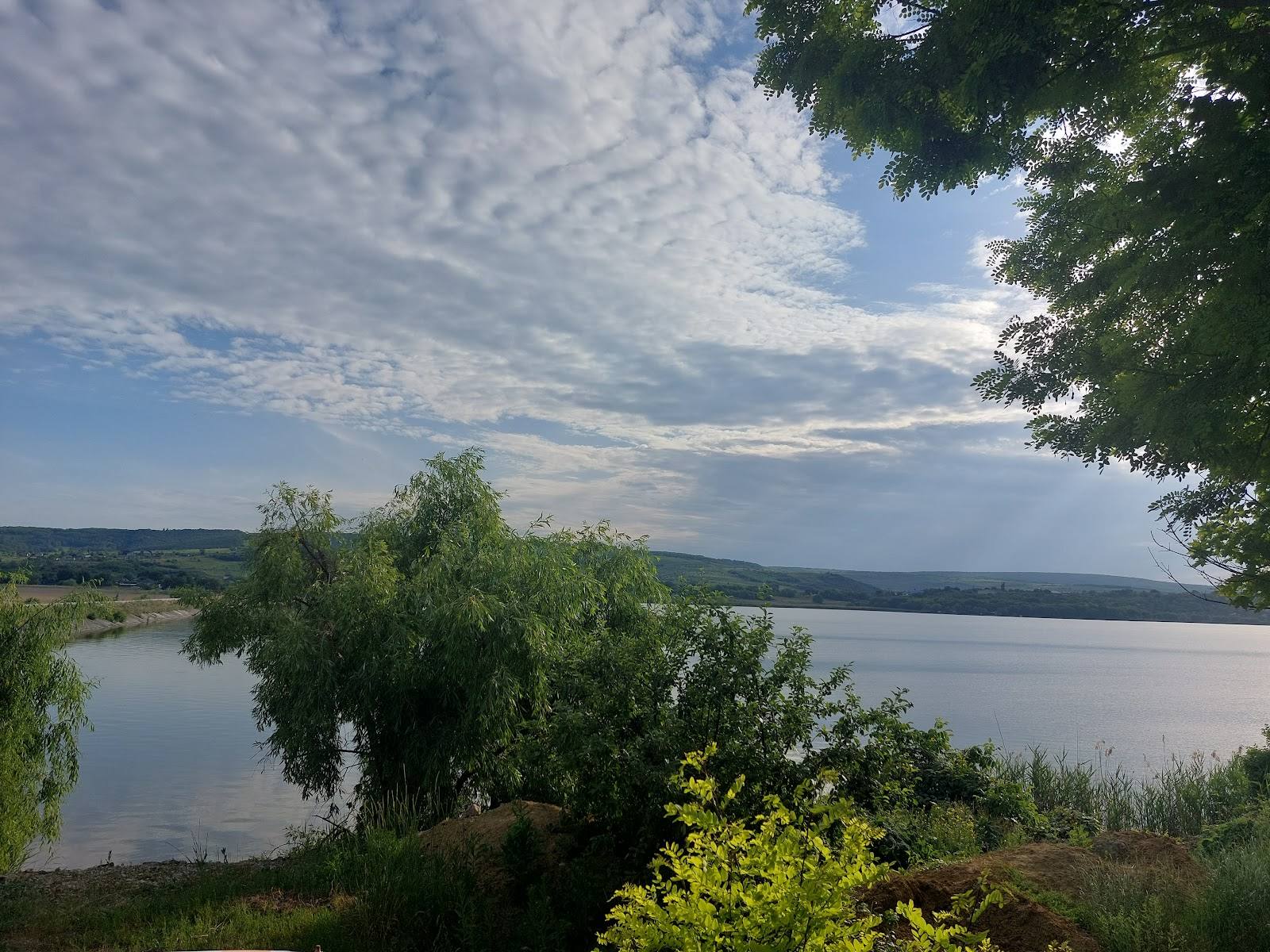 Panoramic view of a river valley with forested banks and rolling hills beyond