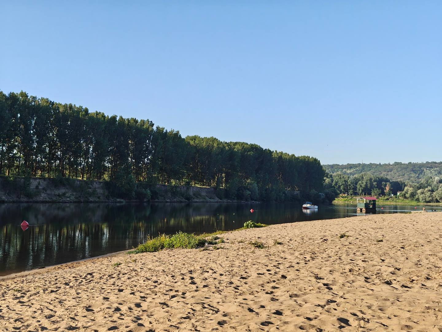 Sandy riverbank with tree line and clear sky landscape
