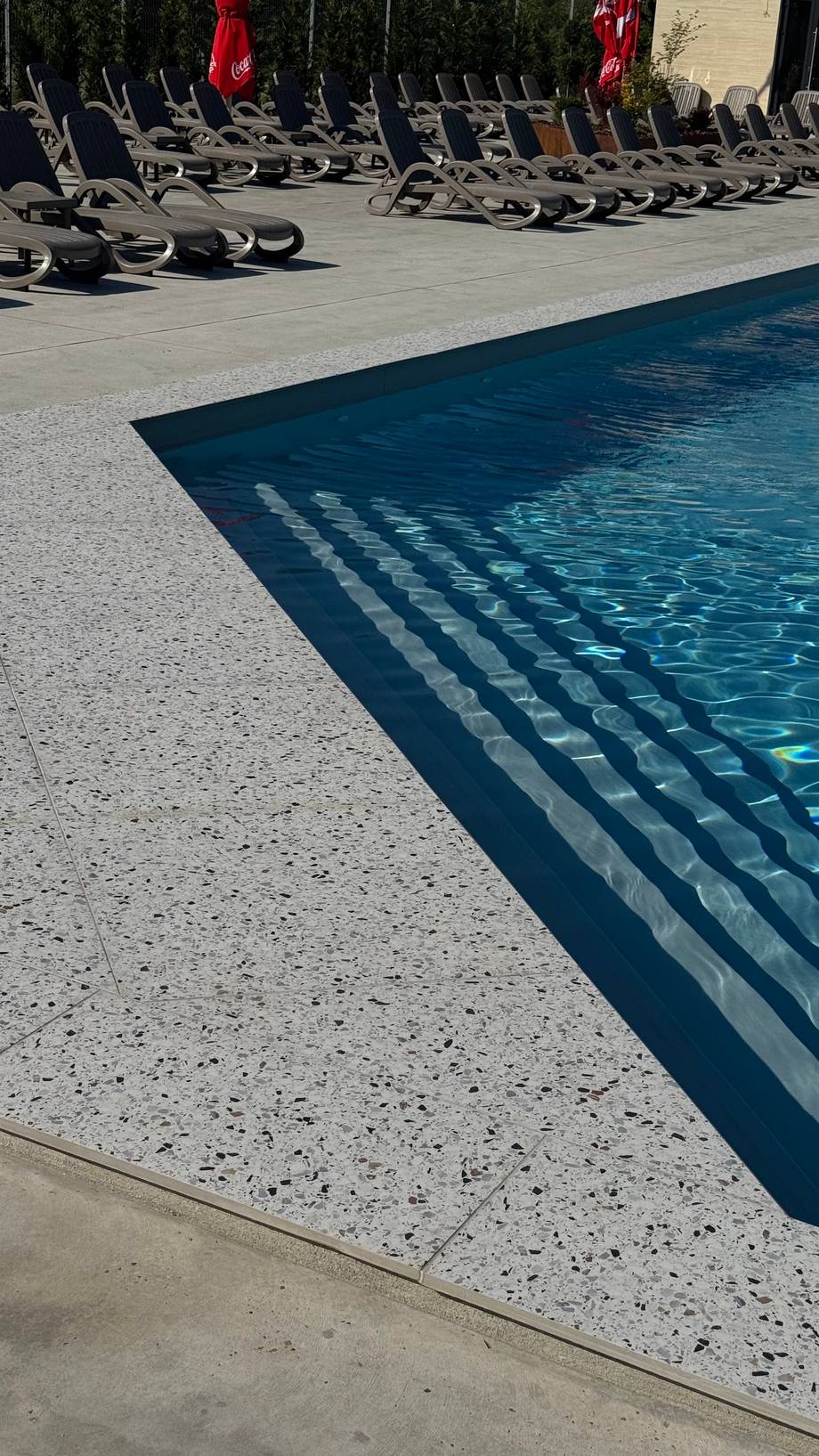 Swimming pool with loungers and terrace in bright daylight