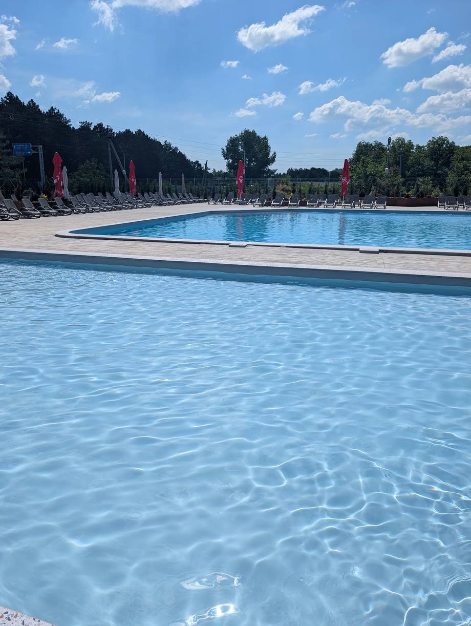 Large outdoor swimming pool with sun loungers and forested surroundings