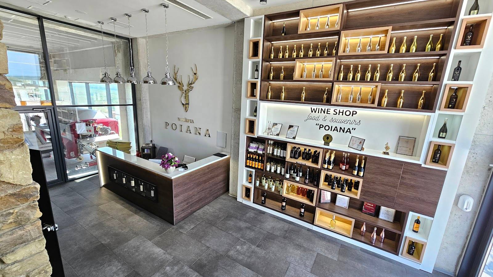 Modern wine shop interior with extensive bottle display and tasting counter
