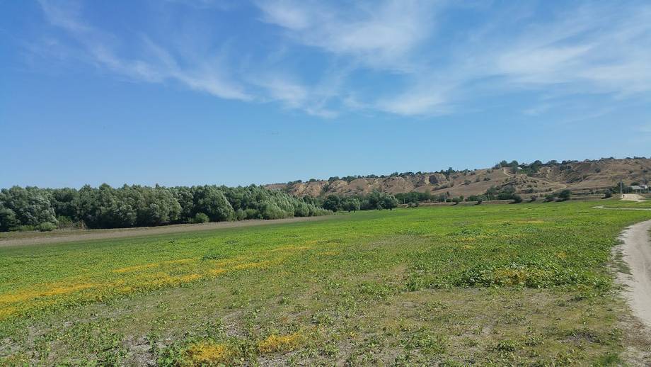 Rezervația Prutul de Jos · Birdwatching - Birdwatching în Slobozia Mare (foto 3)
