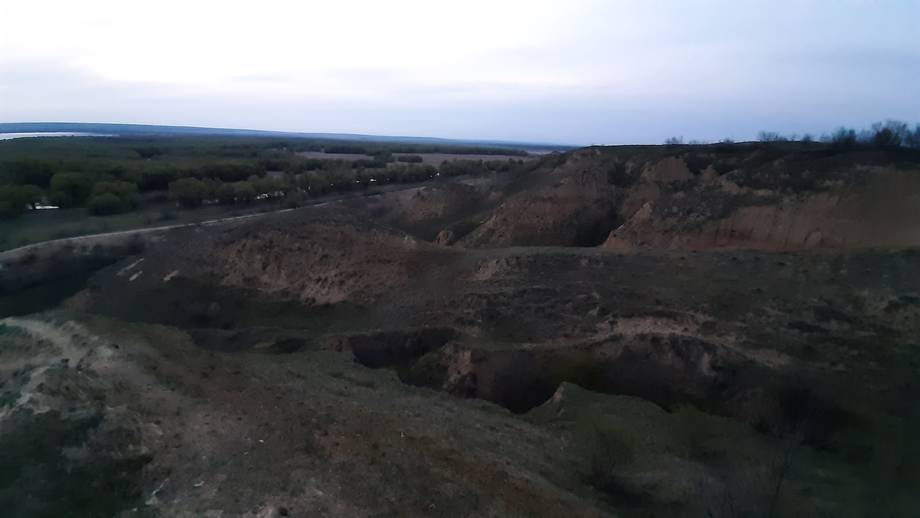 Rezervația Prutul de Jos · Birdwatching - Birdwatching în Slobozia Mare (foto 4)