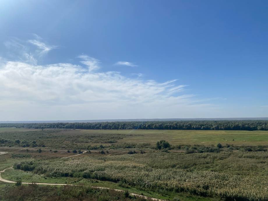 Rezervația Prutul de Jos · Birdwatching - Birdwatching în Slobozia Mare (foto 6)