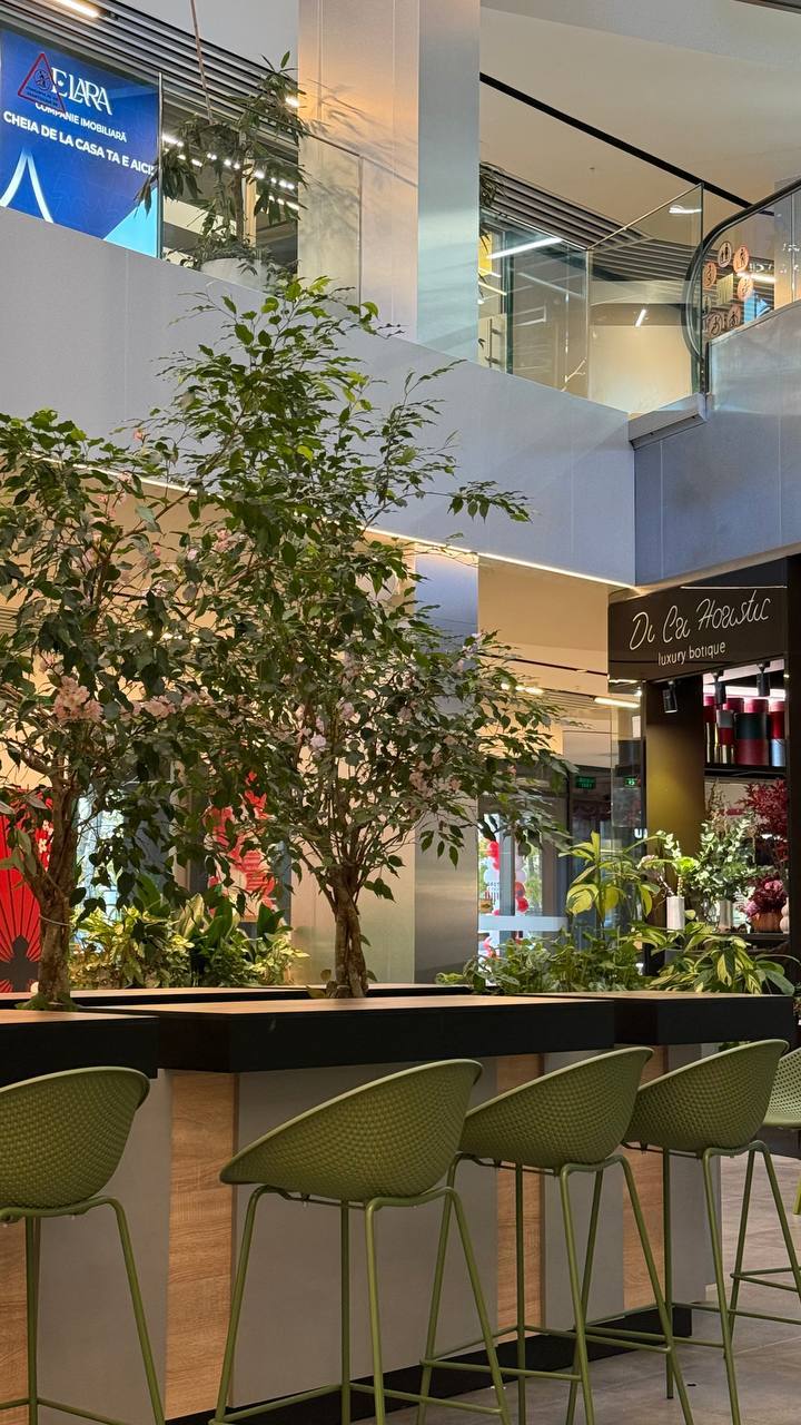 Modern café interior with green bar seating, live plants, and casual dining atmosphere