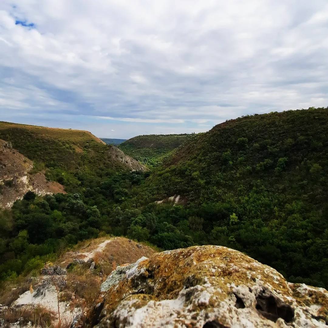 Deep valley landscape with rocky outcrops and forested hills under cloudy sky