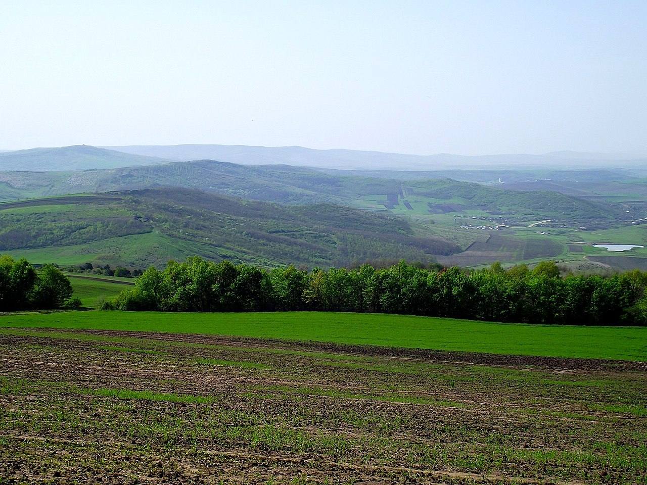 Bălănești Hill - Punct panoramic în Bălănești (foto 1)