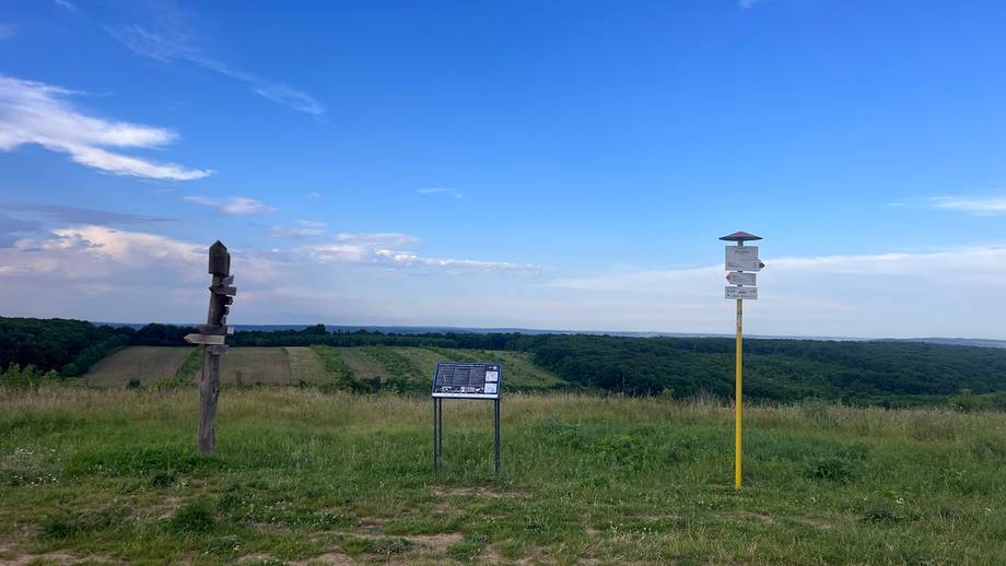 Bălănești Hill - Punct panoramic în Bălănești (foto 5)