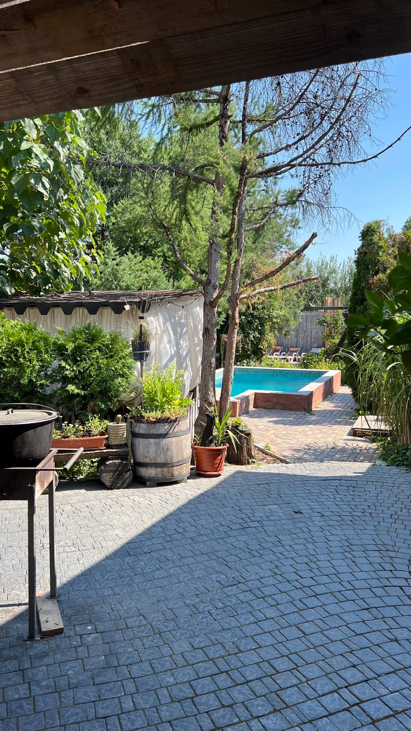 Shaded terrace with pool view in rustic garden setting