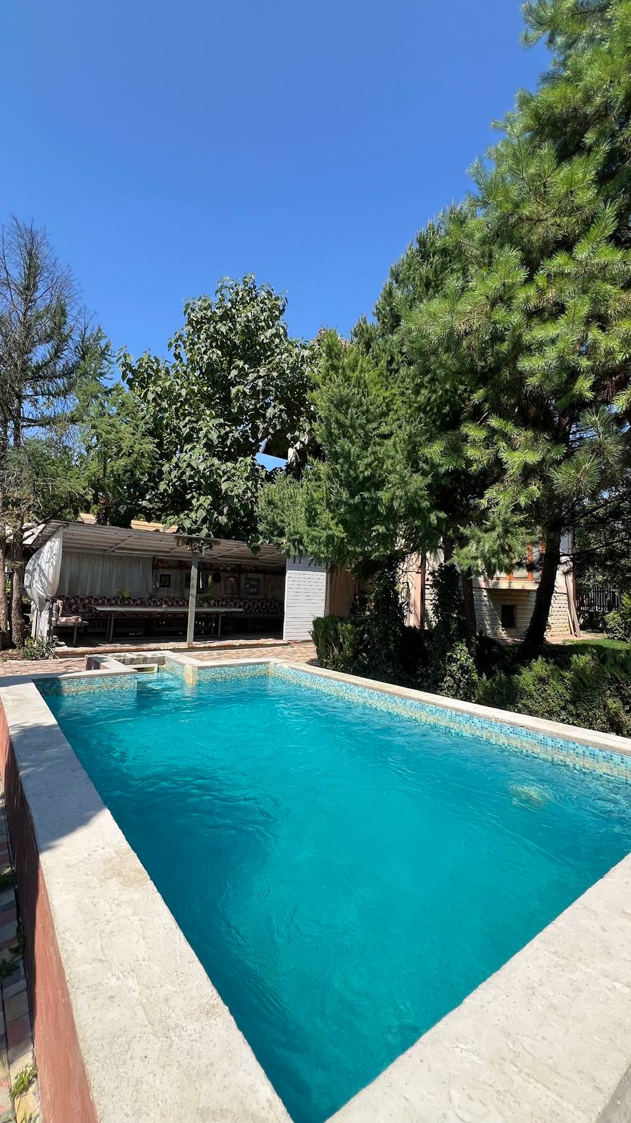 Outdoor swimming pool with mature trees and shaded poolside pavilion