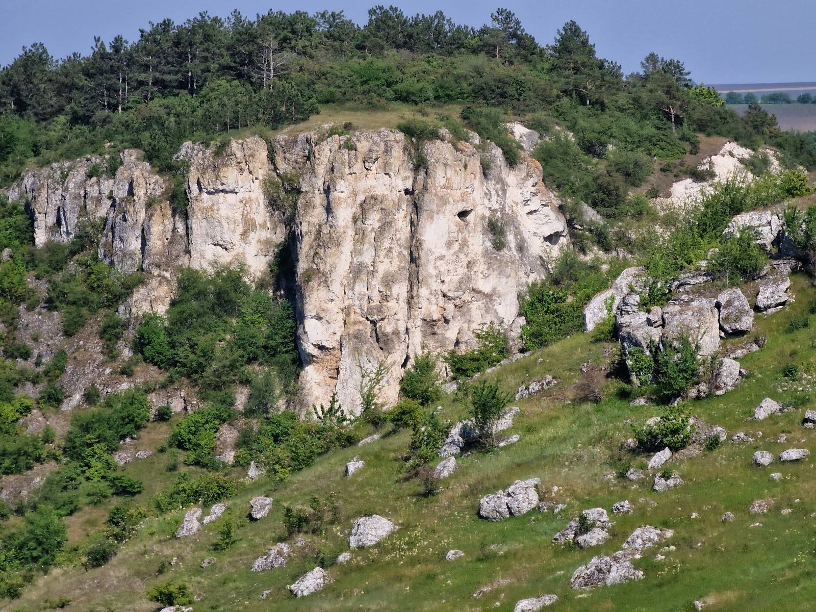 Limestone cliff formation with forest and rocky terrain in Moldova landscape