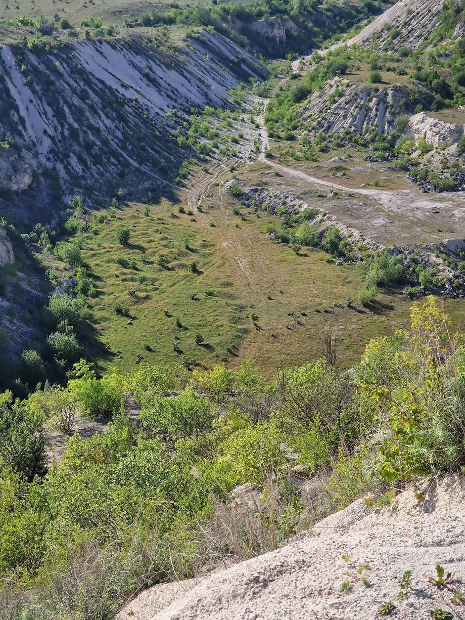 Panoramic view of stratified gorge with green valley floor and exposed geological formations
