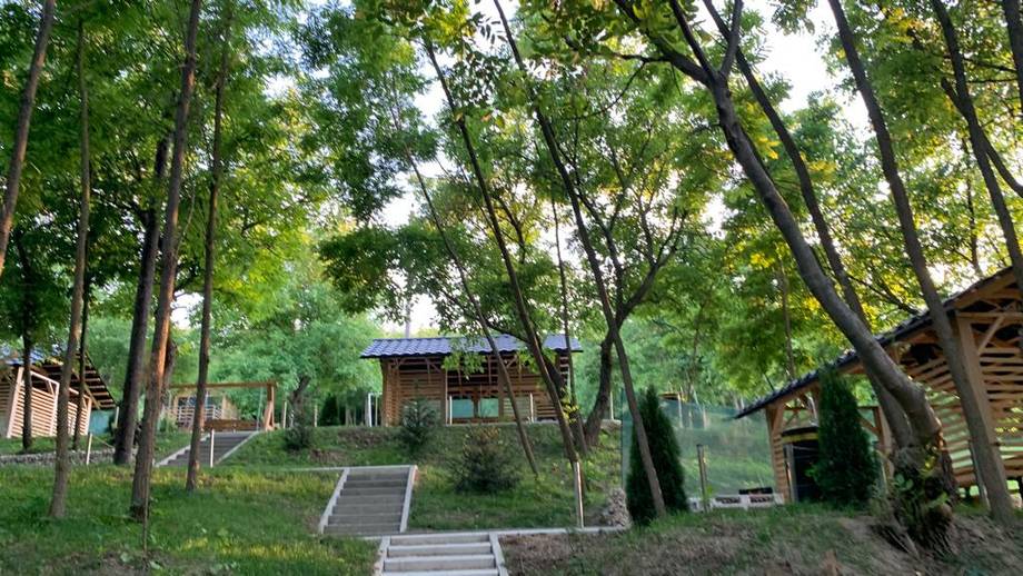 Monastery courtyard with wooden pavilions nestled in dense green forest canopy