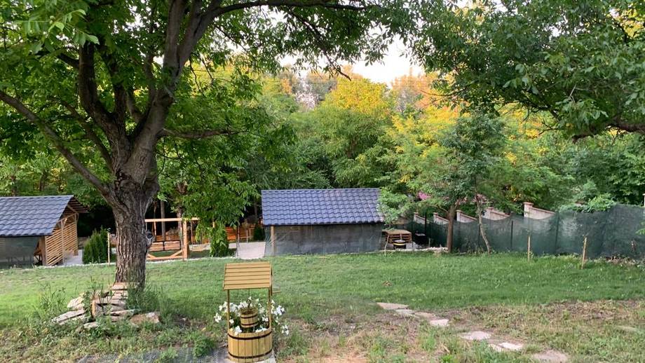 Pastoral vineyard setting with historic barn structures and mature oak trees