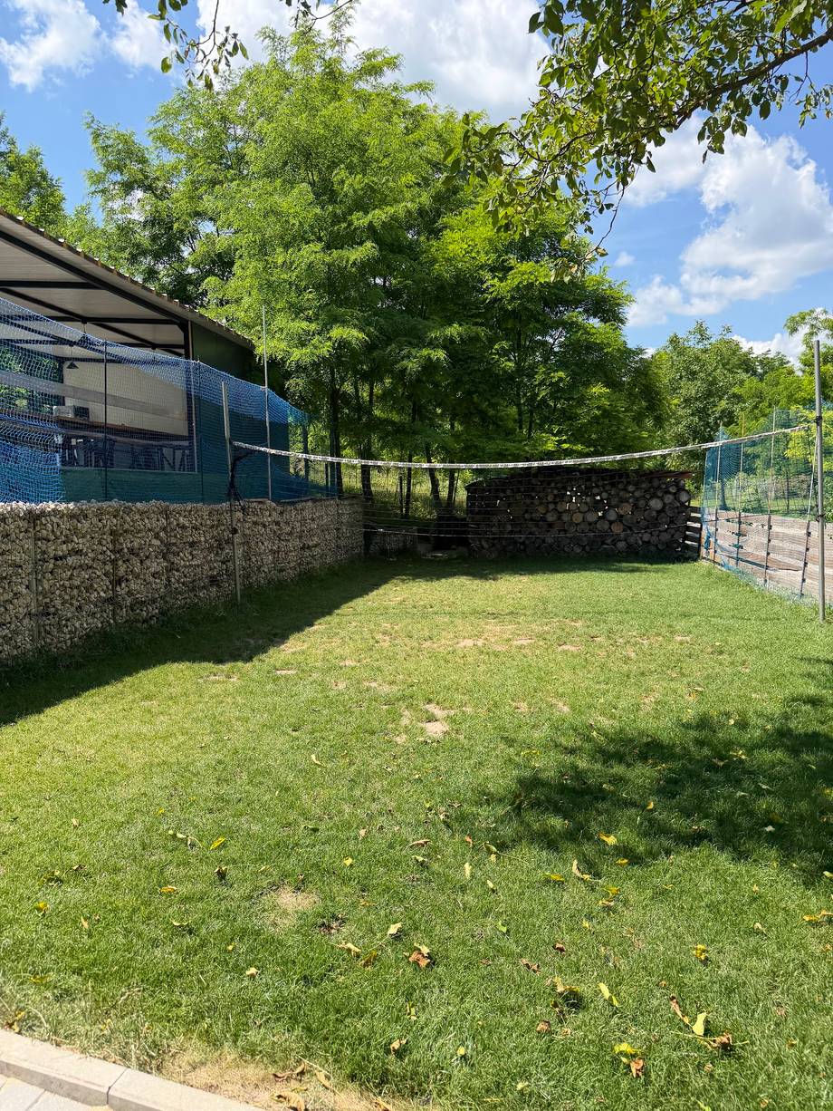 Outdoor activity space with grass field, steel fencing, and covered facility structure surrounded by trees