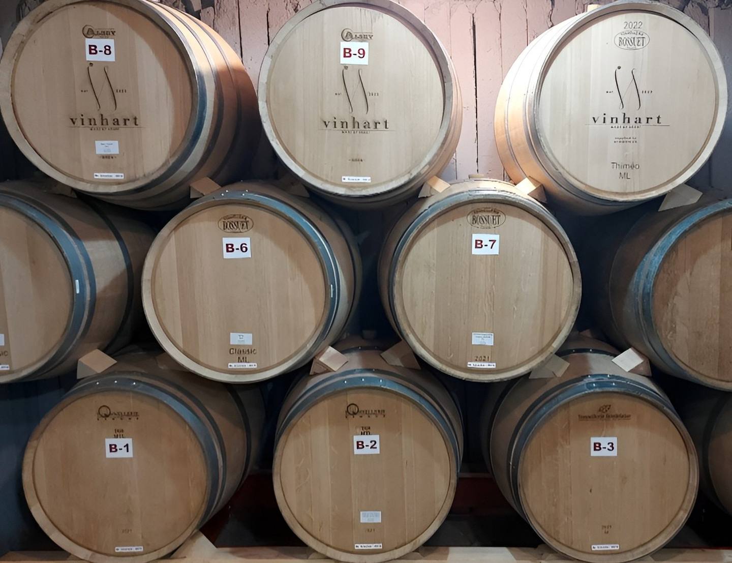 Vinhart Winery - Boutique wineries in Sălcuța (photo 1)
