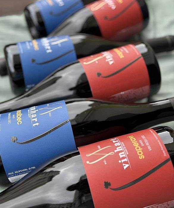 Vinhart Winery - Boutique wineries in Sălcuța (photo 2)