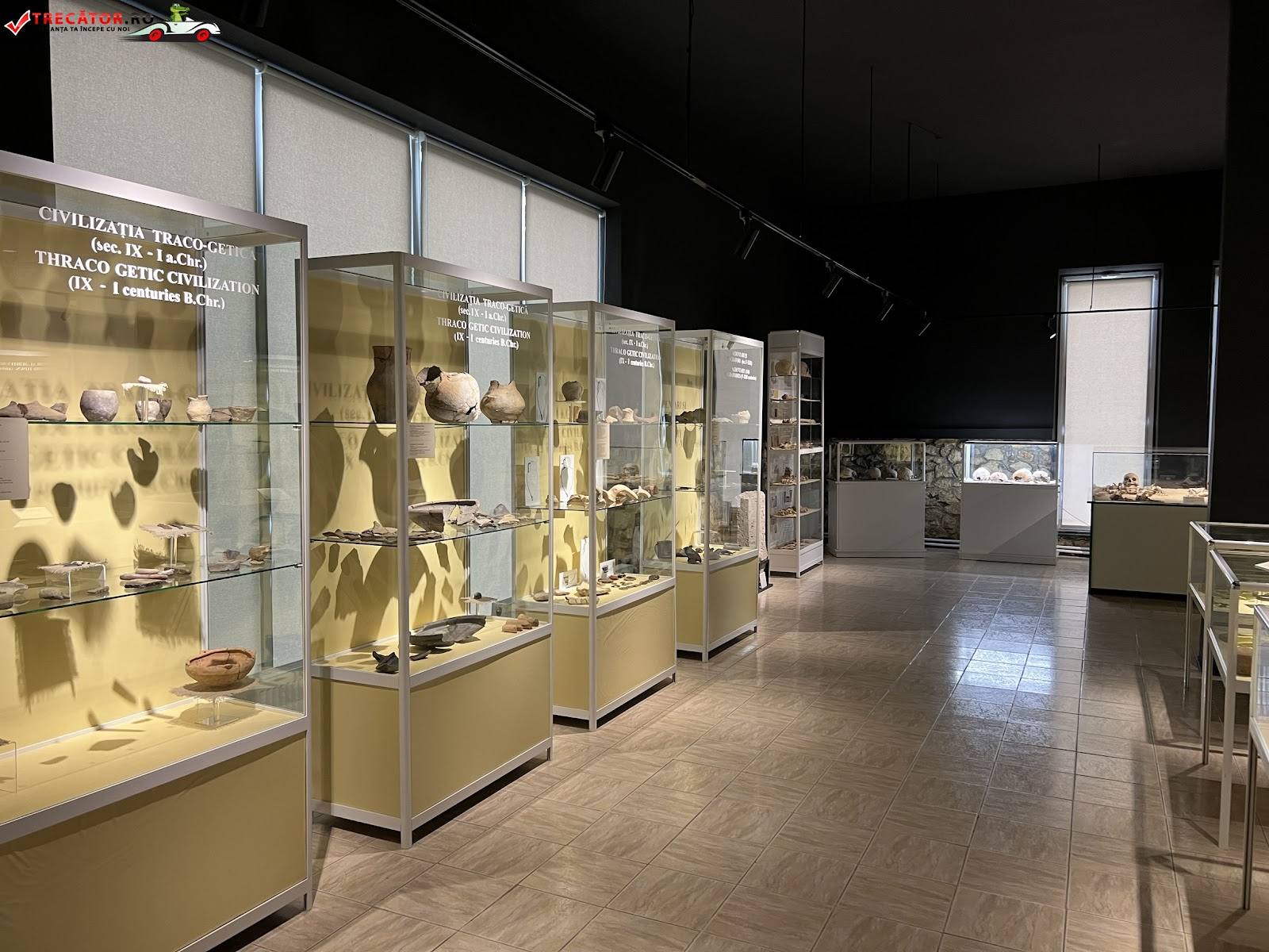 Museum interior with archaeological artifacts displayed in illuminated glass cases