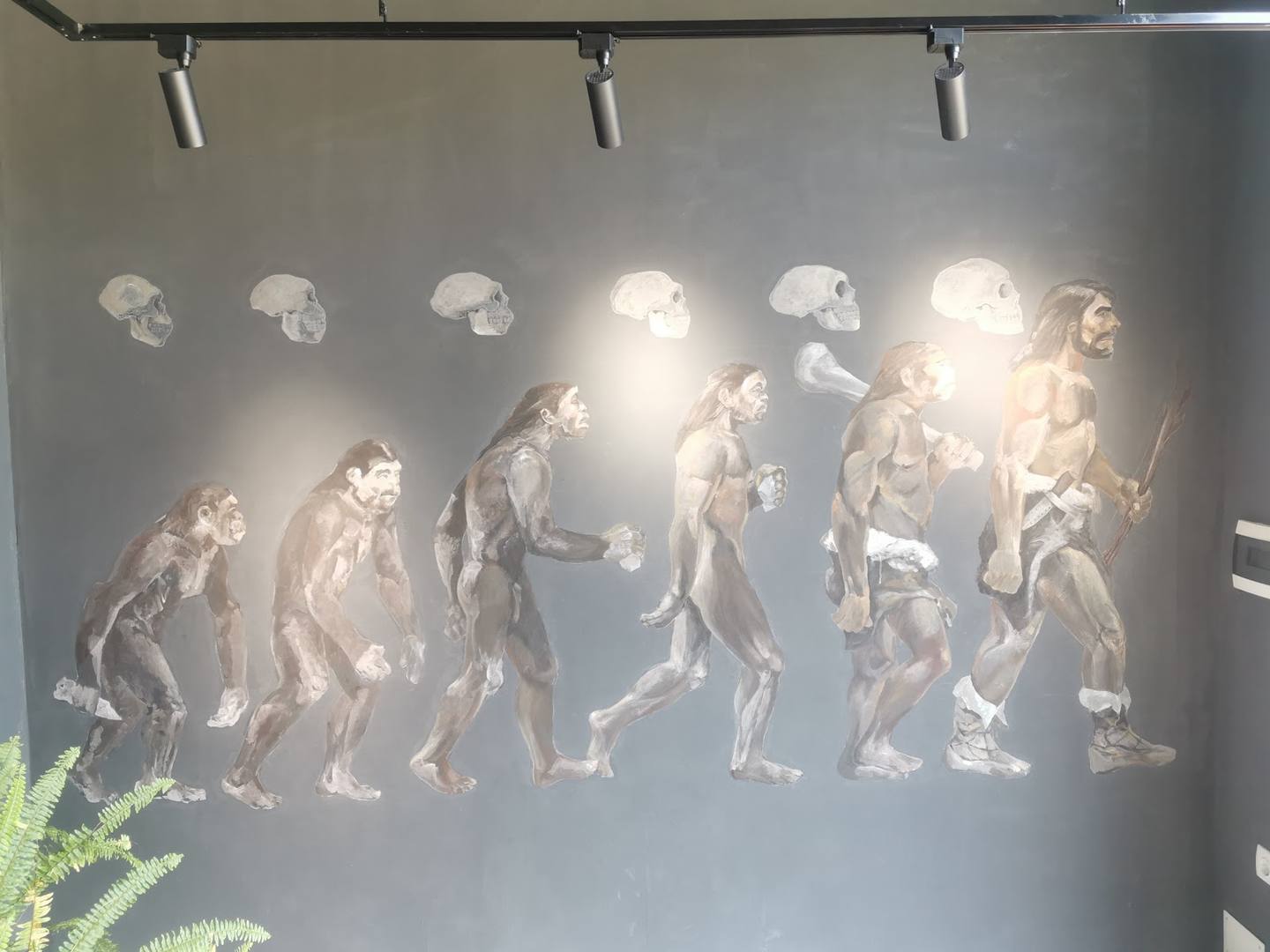 Evolution mural artwork on gallery or museum wall with track lighting