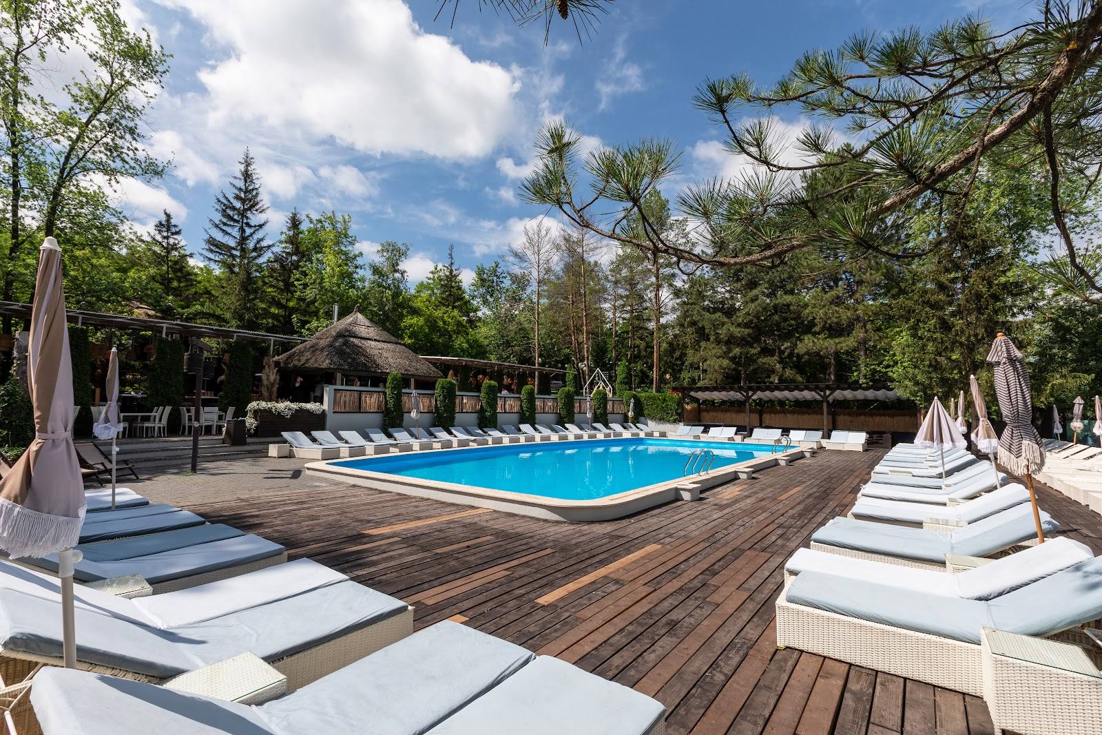 Resort pool deck with lounge chairs, wooden terrace, and forest backdrop