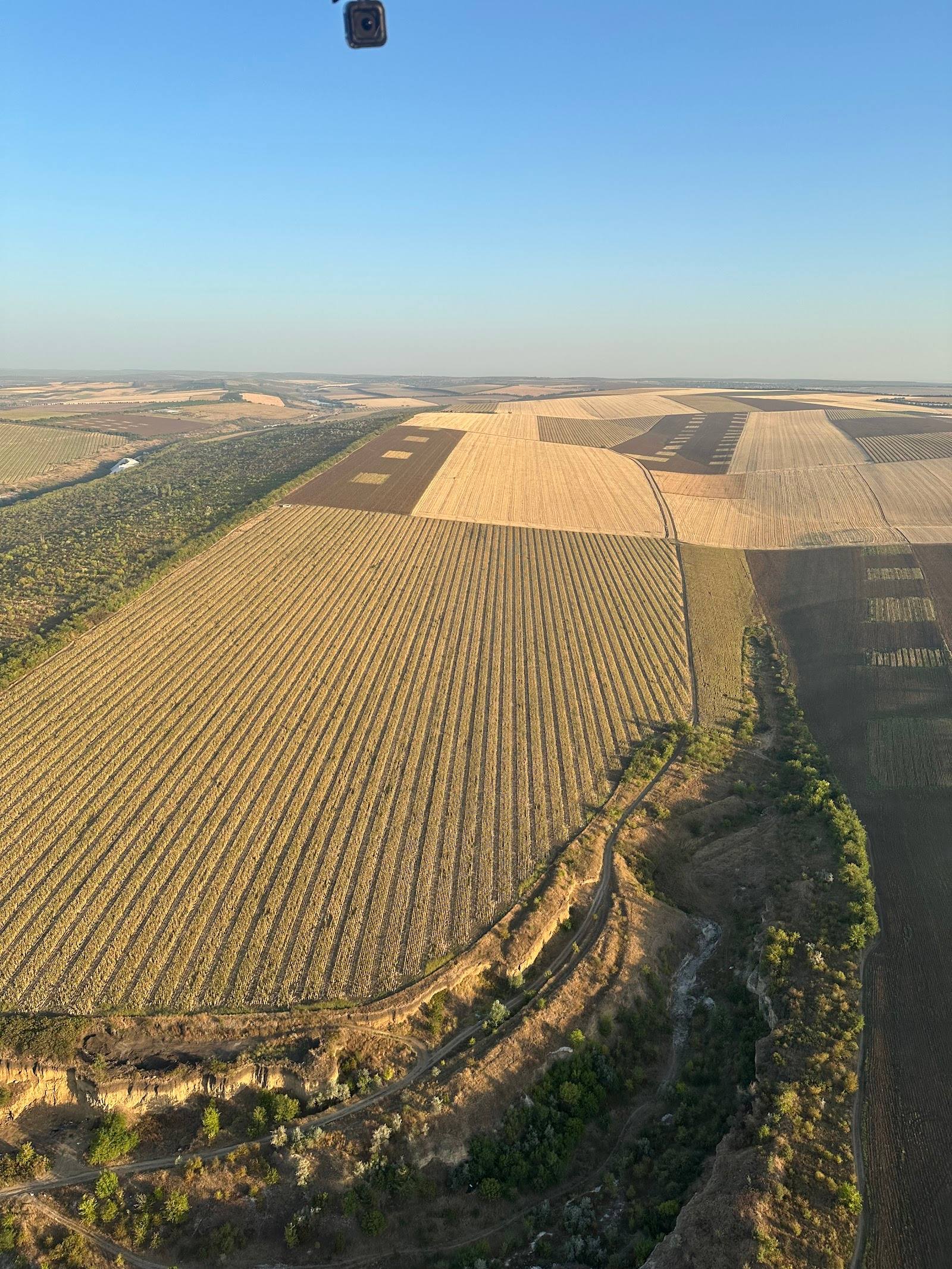 Aerolux - Hot air balloon in Botanica (photo 3)