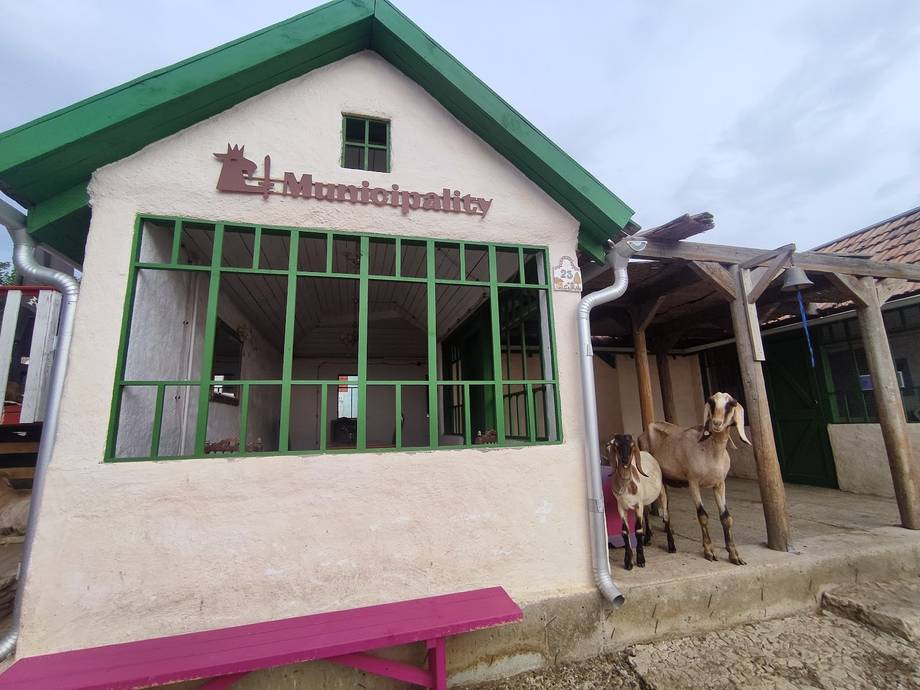 Homeopathy clinic storefront with green-trimmed facade and signage