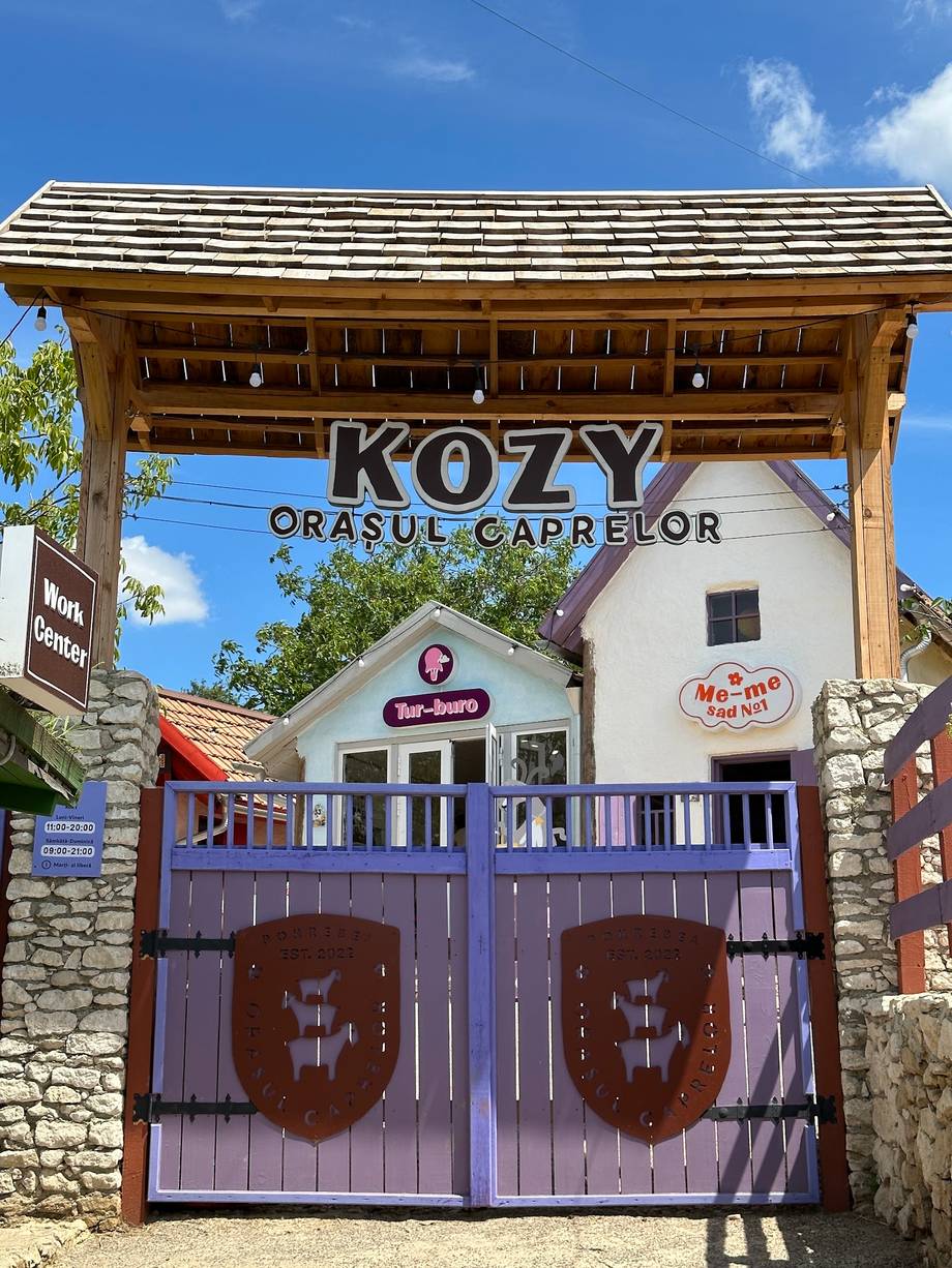 Kozy entrance gate with wooden pergola and purple doors in Orășul Caprelor wine village