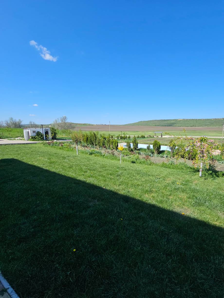 Vineyard rows with modern tasting structure and rolling hills backdrop