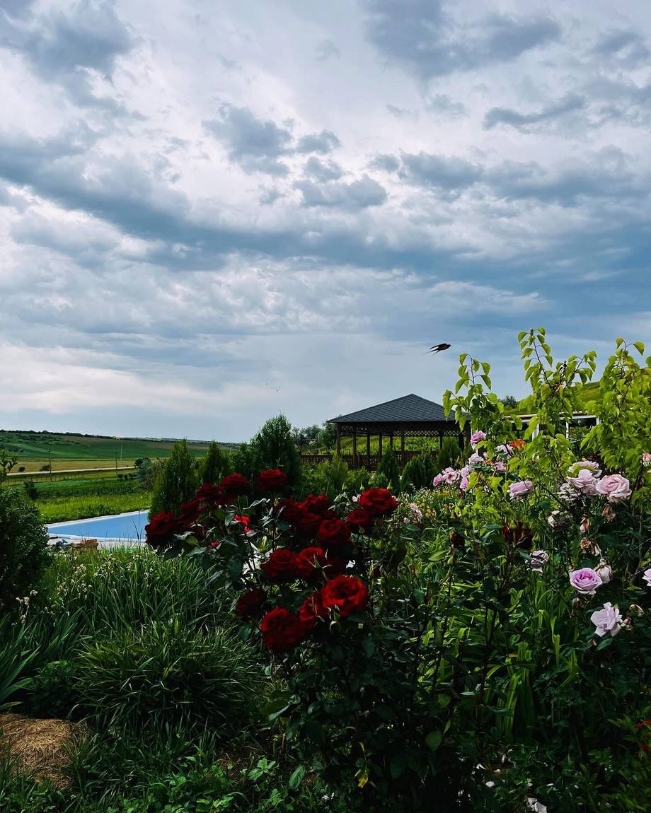 Vineyard estate with flowering gardens, infinity pool, and countryside views