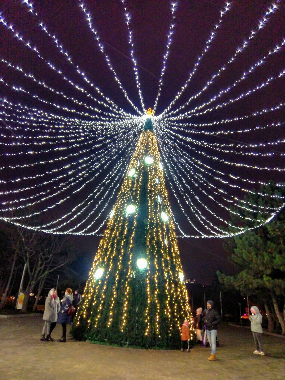 Illuminated Christmas tree with radiating light canopy and visitors at night