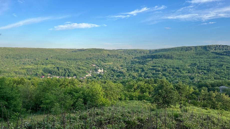 Rolling hills and vineyards of Moldova countryside with forested valley