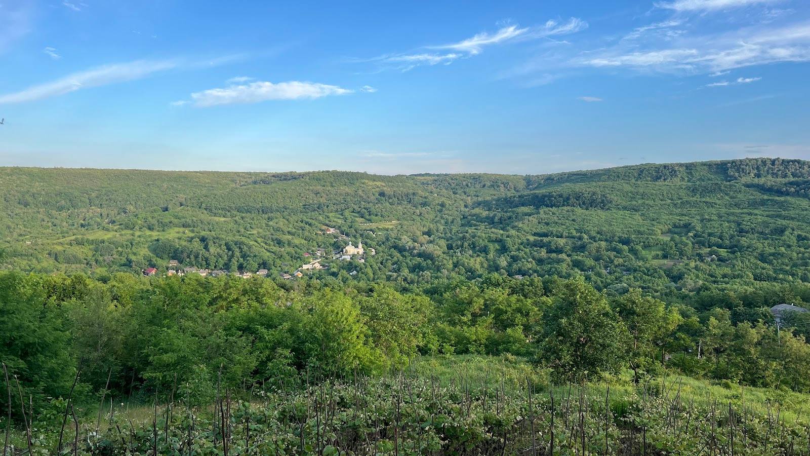 Rolling hills and vineyards of Moldova countryside with forested valley