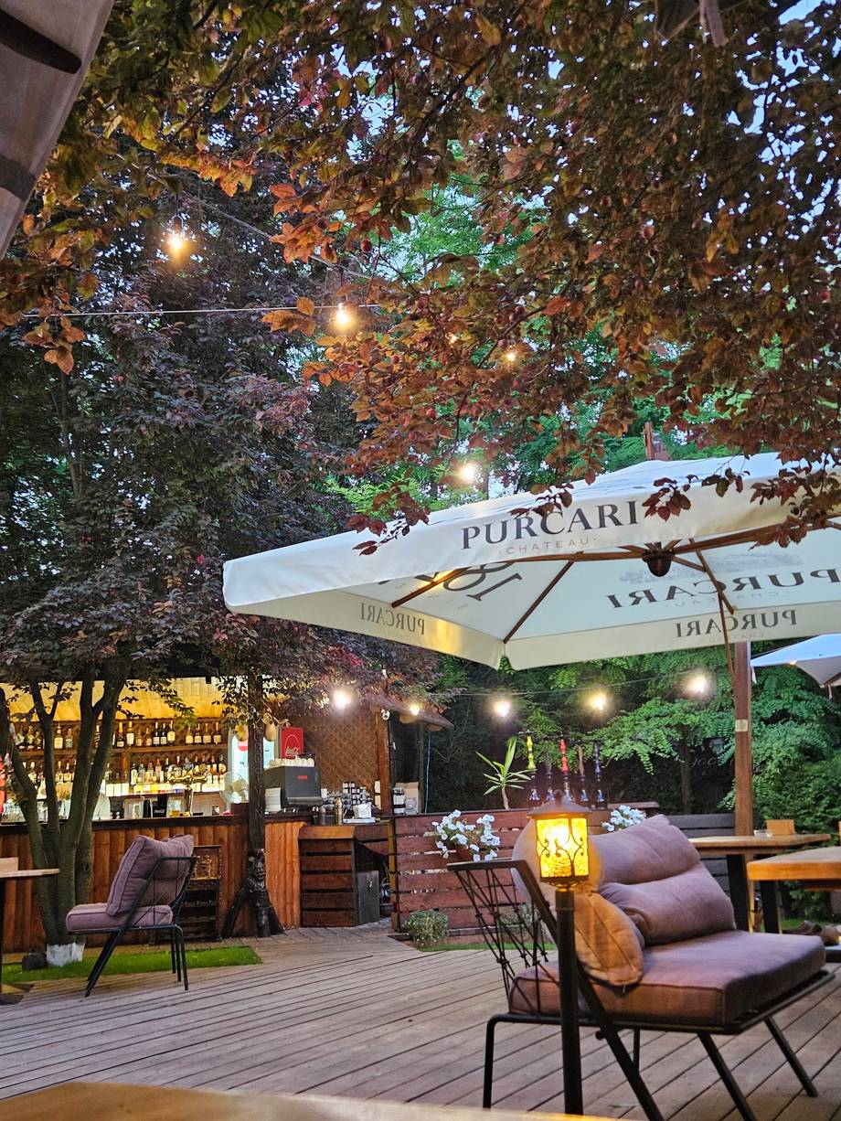Evening terrace with string lights, umbrellas, and purple upholstered seating under mature trees