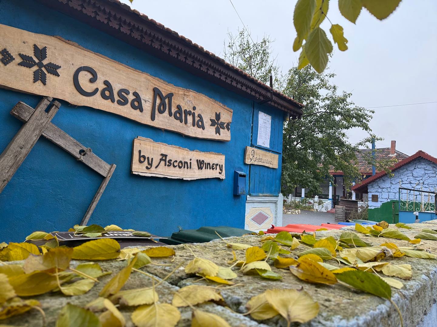 Casa Maria by Asconi Winery - Pensiune rurală în Butuceni (foto 1)