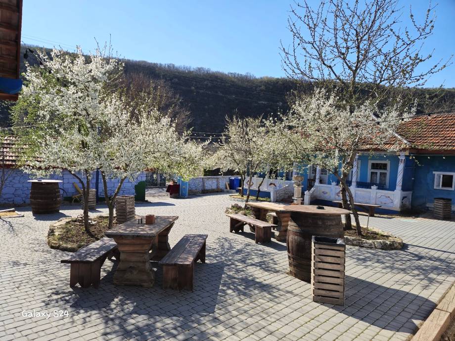 Casa Maria by Asconi Winery - Pensiune rurală în Butuceni (foto 4)