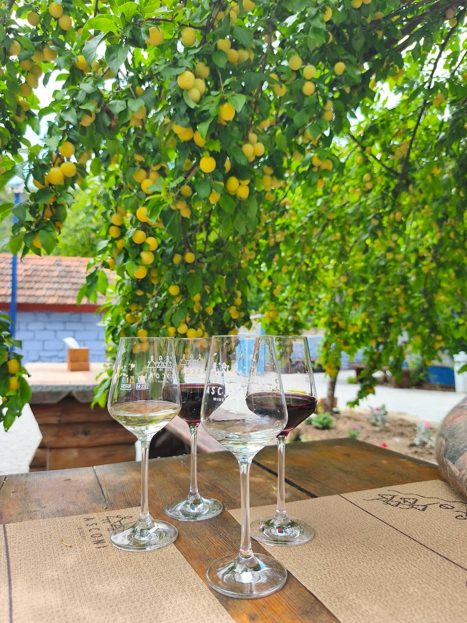 Casa Maria by Asconi Winery - Pensiune rurală în Butuceni (foto 5)