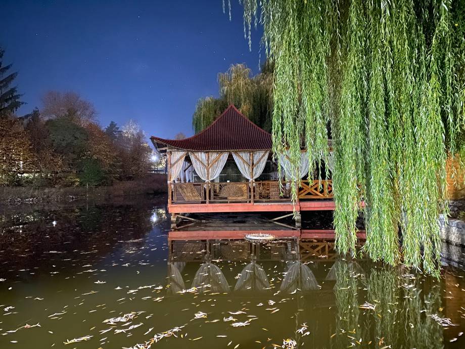 Waterside pavilion with weeping willow and pond setting