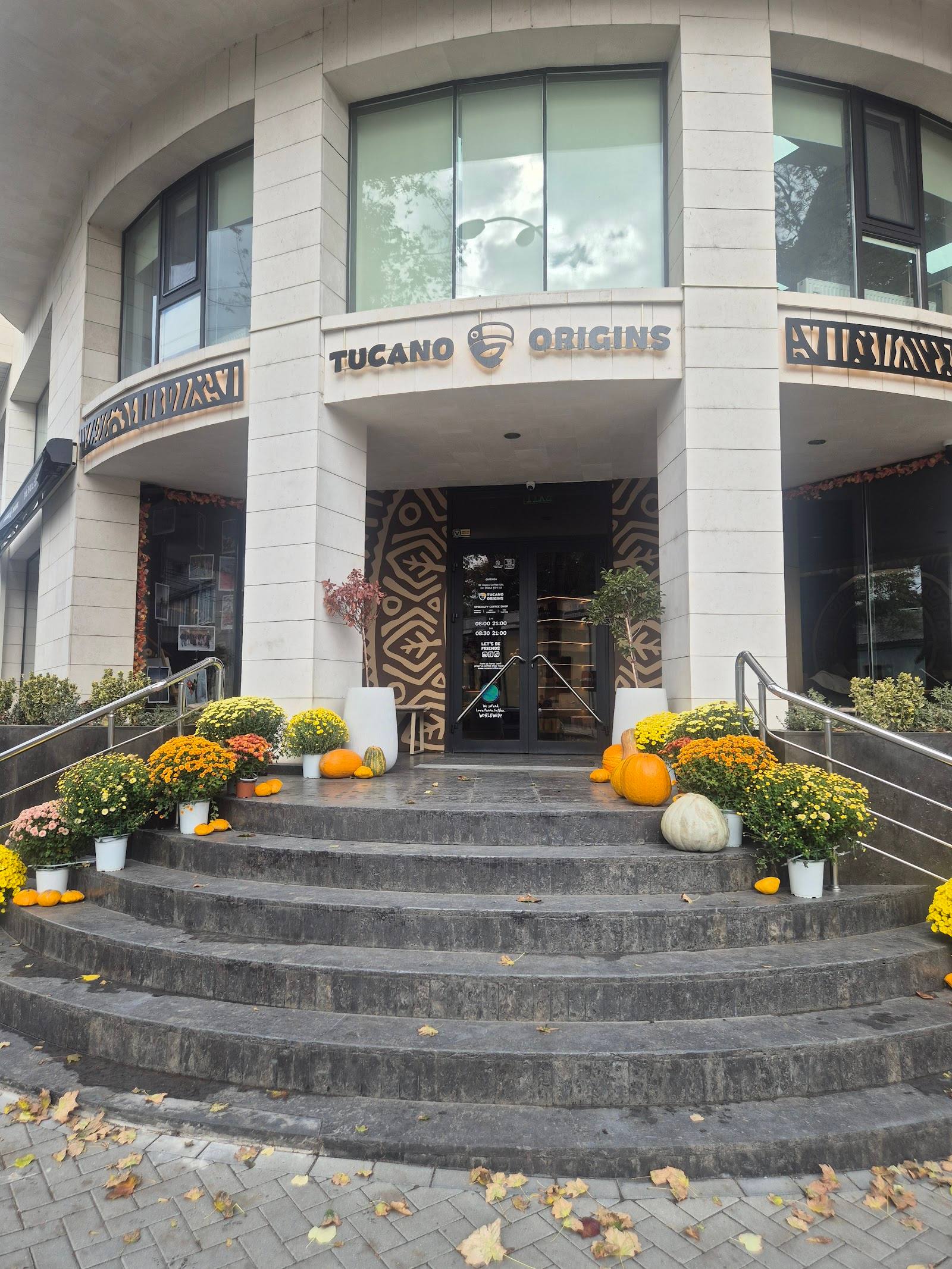 Tucano Coffee Origins - Șciusev - Specialty coffee in Centru (photo 2)