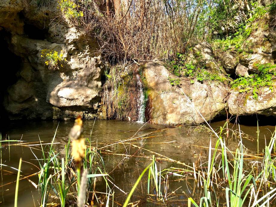 Defileul Duruitoarea Veche - Rezervație naturală în Duruitoarea (foto 7)
