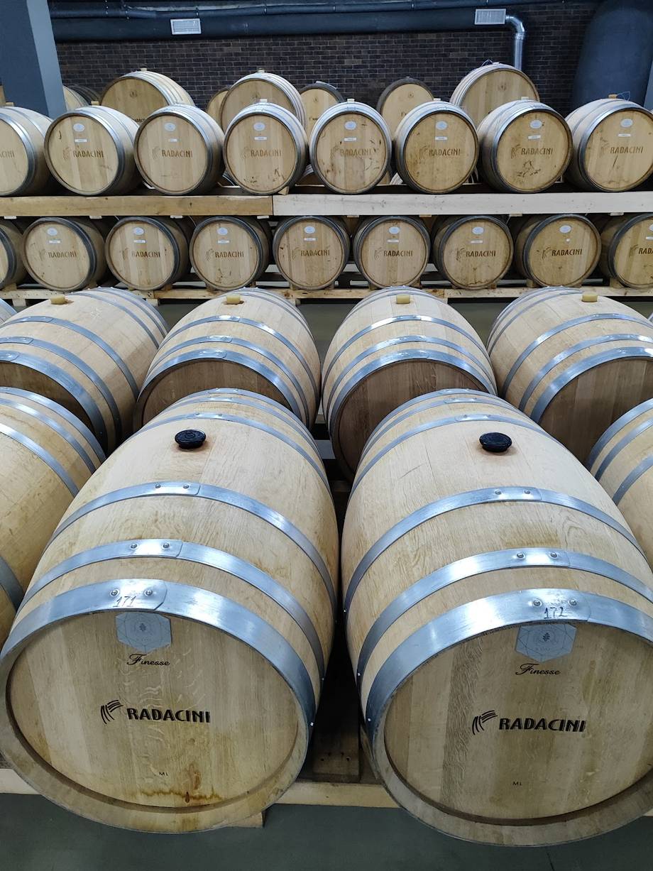 Rădăcini Winery - Crame boutique în Cricova (foto 3)